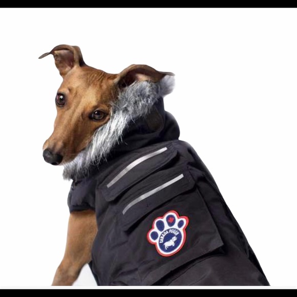 Canada Pooch Everest Explorer Dog Jacket - Picture 4 of 10